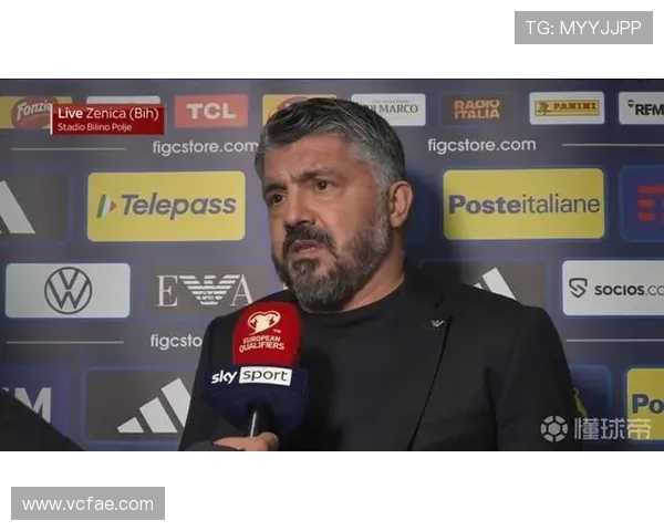 意大利体育部长否认世界杯递补可能性